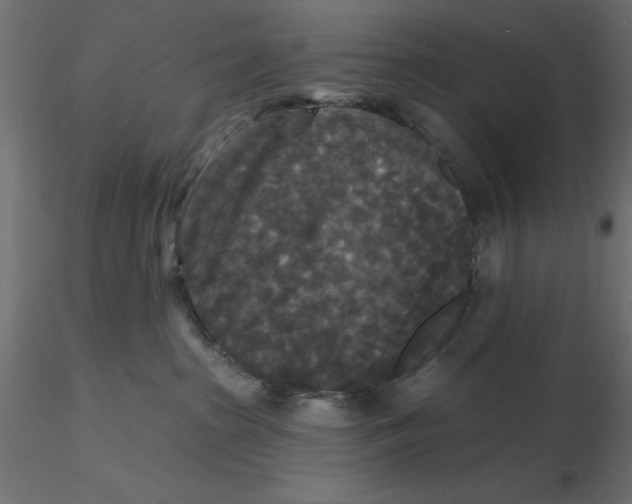 X0000116570285200912312000