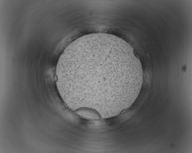 X0000116570286200912312000