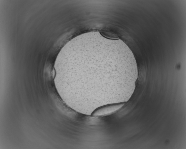 X0000116570287200912312000