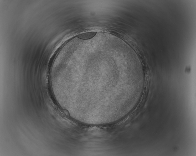 X0000116570290200912311959