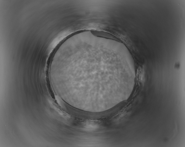 X0000116570292200912311959