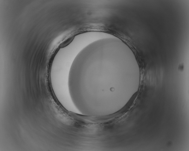 X0000116570293200912311959