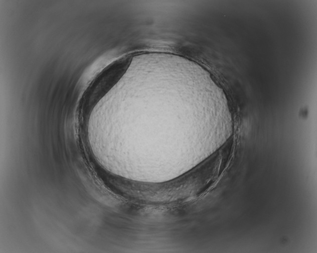 X0000116570294200912311959