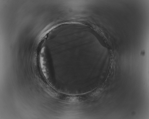 X0000116570295200912311959