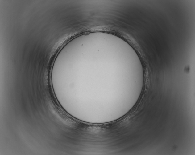 X0000116570298200912311959