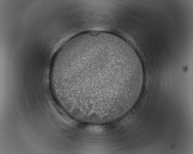 X0000116570299200912311959