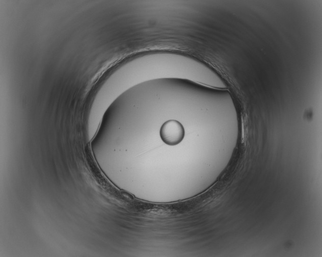 X0000116570300200912311959