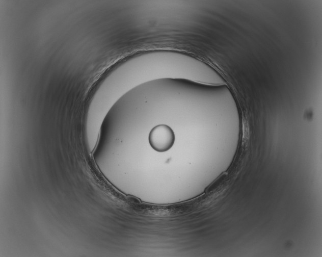 X0000116570301200912311959