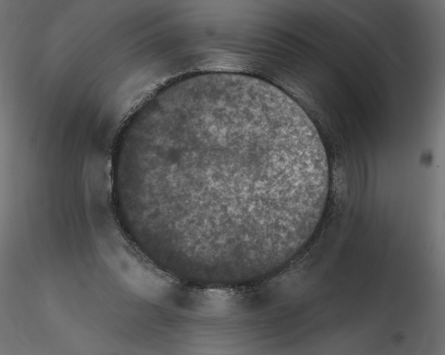 X0000116570302200912311959