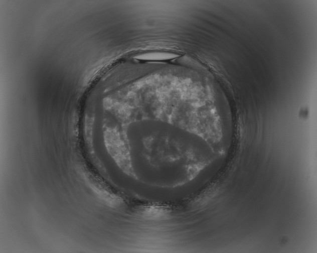 X0000116570303200912311959