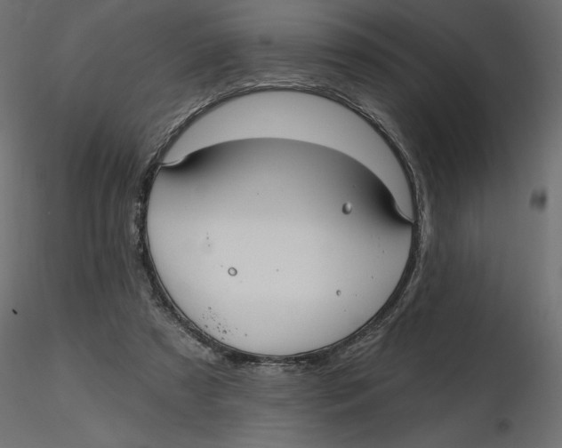 X0000116570305200912311959