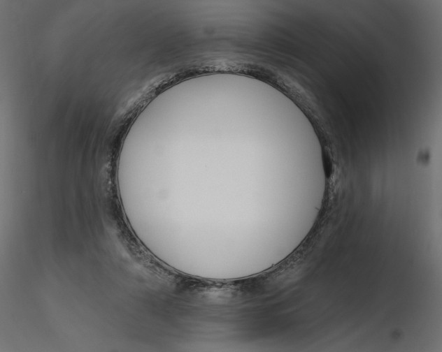 X0000116570306200912311959