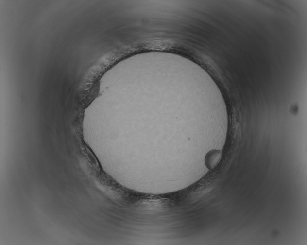 X0000116570307200912311959