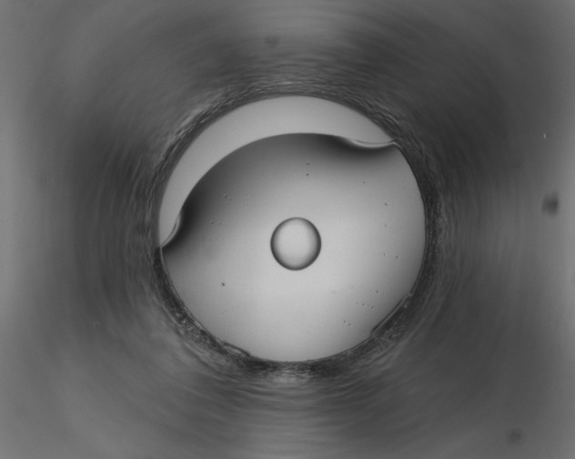 X0000116570308200912311959