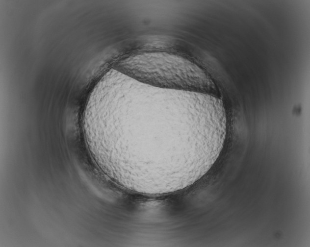 X0000116570312200912311959