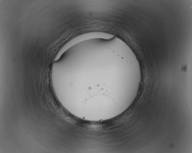 X0000116570313200912311959