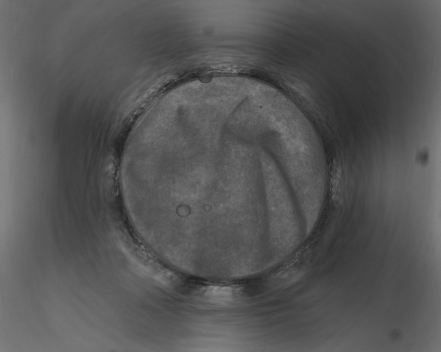 X0000116570314200912311959