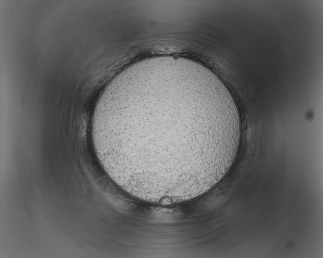 X0000116570315200912311959