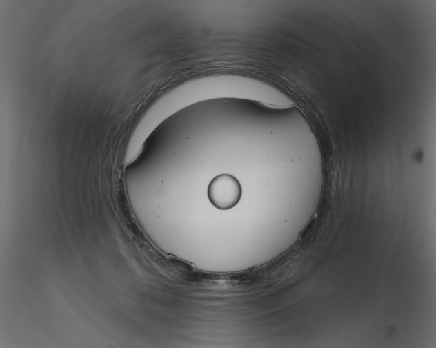 X0000116570316200912311959