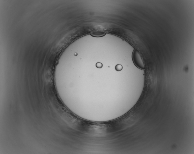 X0000116570317200912311959