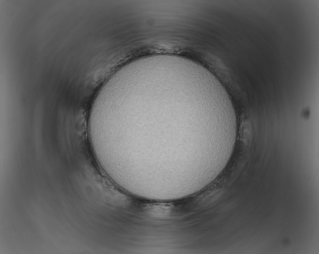 X0000116570318200912311959