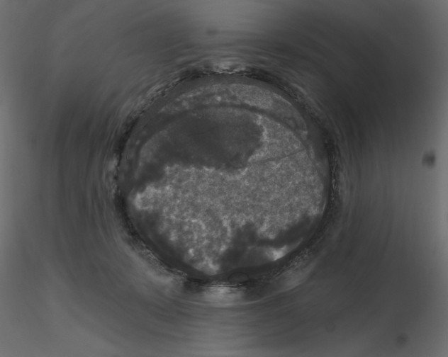 X0000116570319200912311959