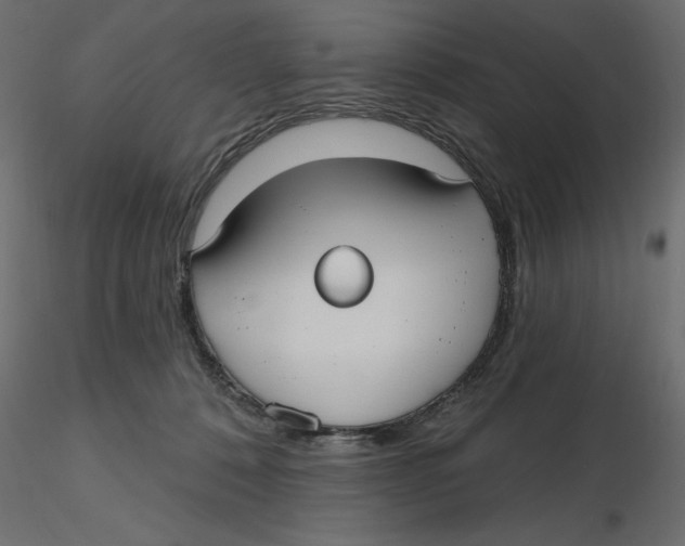 X0000116570320200912311959