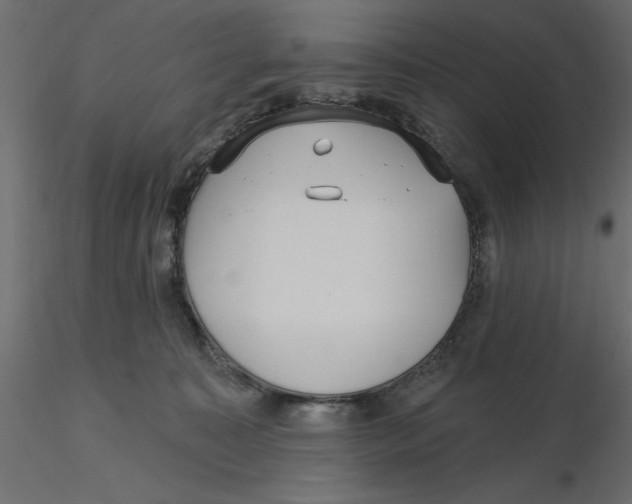 X0000116570323200912311959