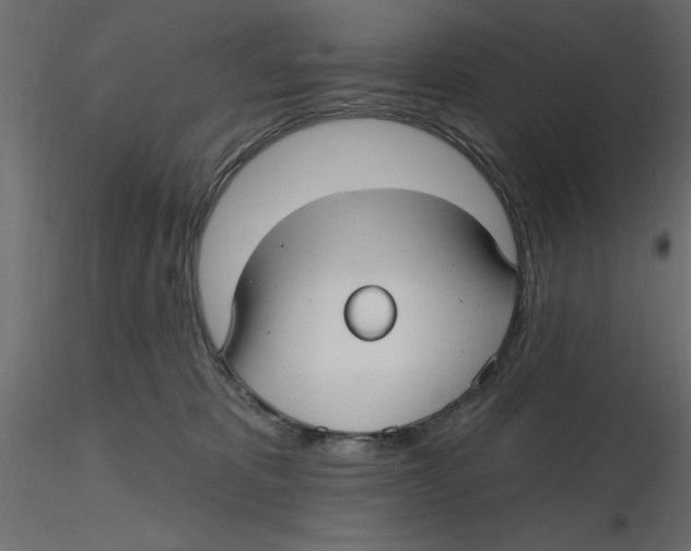 X0000116570325200912311959