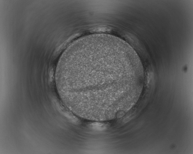 X0000116570326200912311959