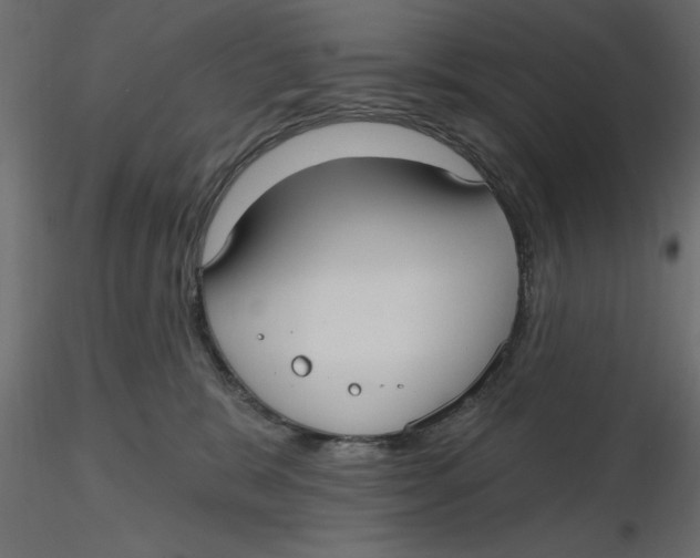 X0000116570327200912311959