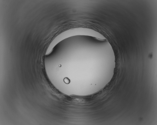 X0000116570328200912311959