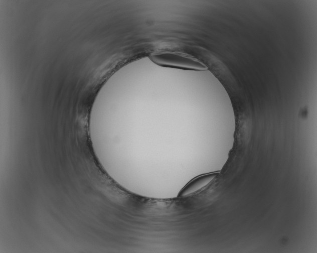 X0000116570329200912311959