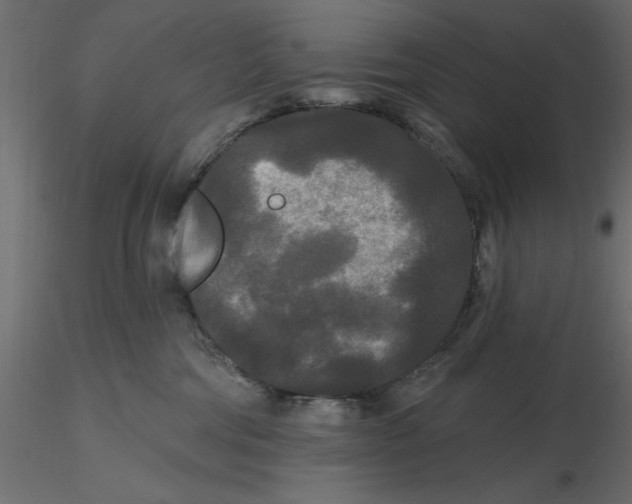 X0000116570330200912311959