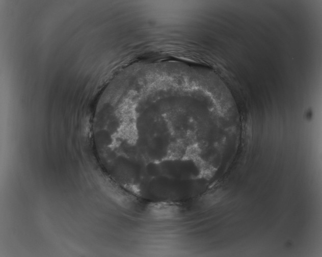 X0000116570331200912311959