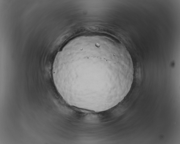 X0000116570332200912311958