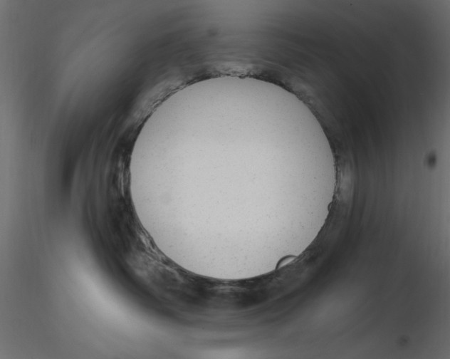 X0000116570334200912311958