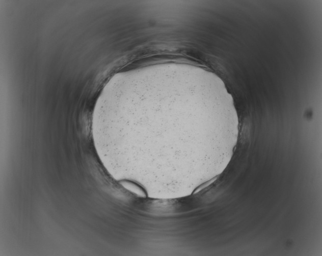 X0000116570335200912311958