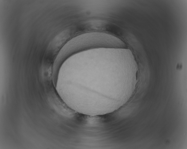 X0000116570336200912311958