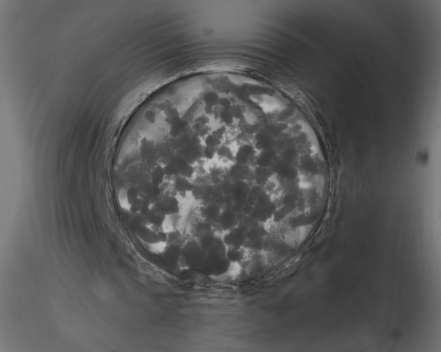 X0000116570337200912311958