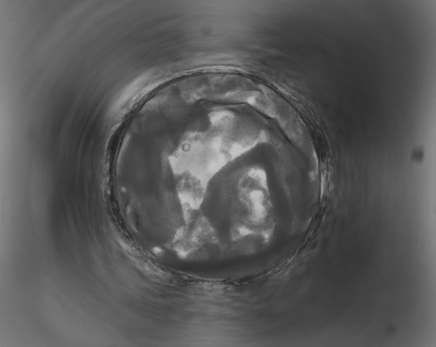 X0000116570339200912311958