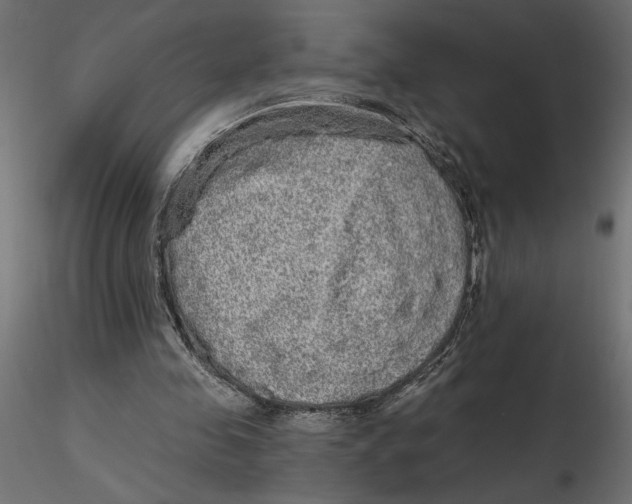 X0000116570341200912311958