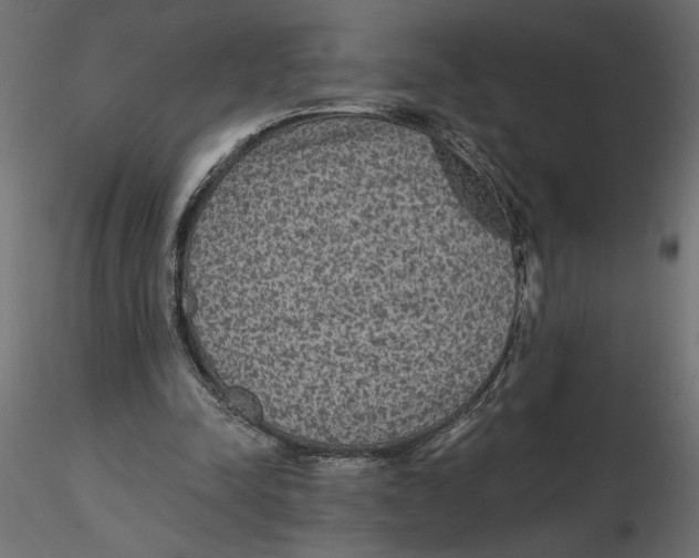 X0000116570342200912311958