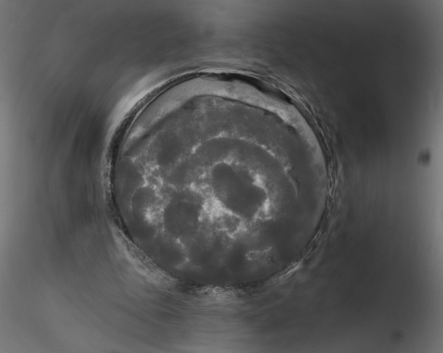 X0000116570343200912311958