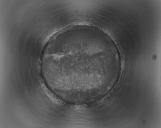 X0000116570345200912311958