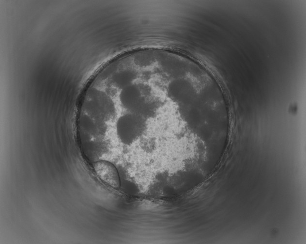 X0000116570346200912311958