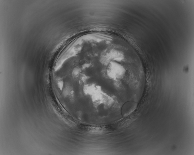 X0000116570347200912311958