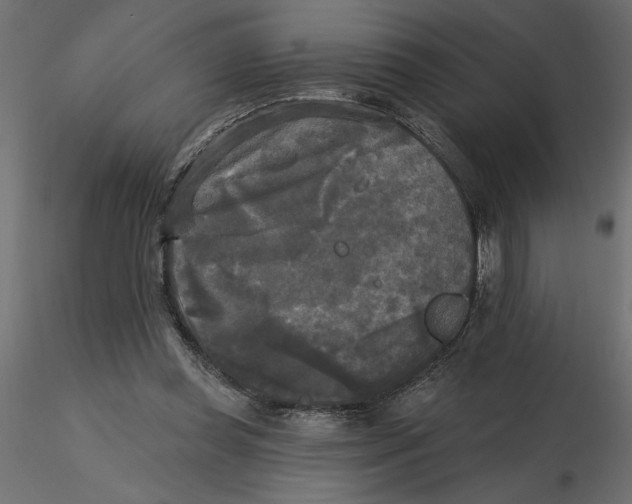 X0000116570349200912311958