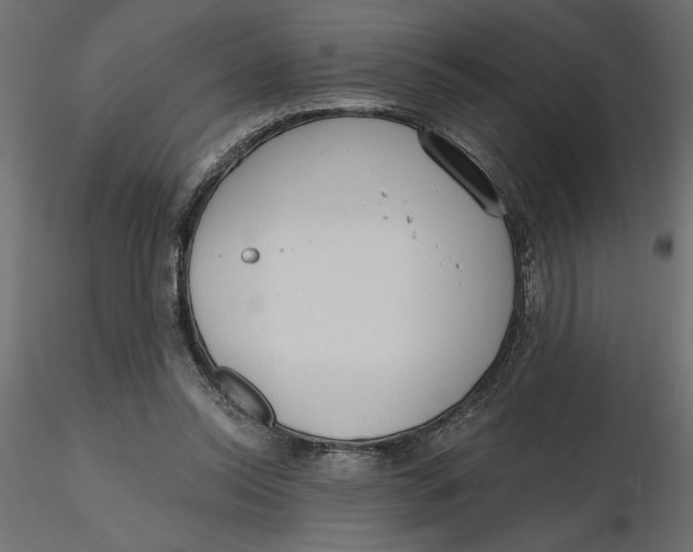 X0000116570350200912311958