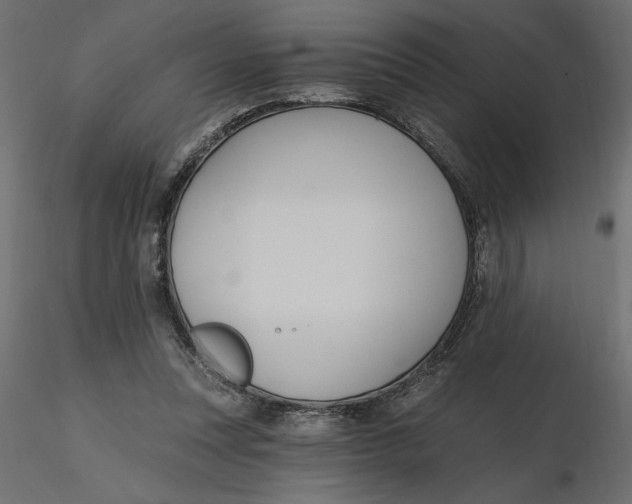 X0000116570351200912311958